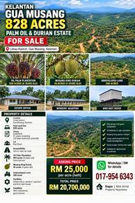 Agricultural Land in Gua Musang, KTN