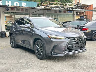 2022 Lexus NX 250 LUXURY