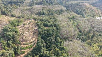 Agricultural Land in Kuala Lipis, PHG
