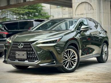 2023 Lexus NX 250 LUXURY