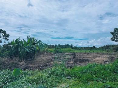 Agricultural Land in Klang, SGR