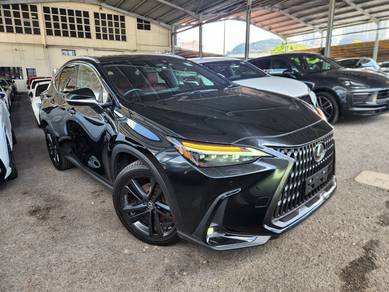 2023 Lexus NX 250 LUXURY