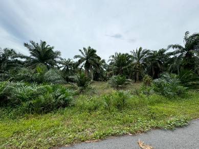 Agricultural Land in Banting, SGR