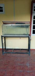 aqurium ikan 
