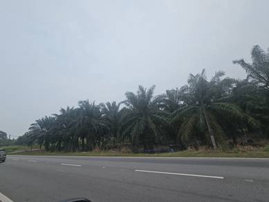 Mixed Development Land in Simpang Renggam, JHR