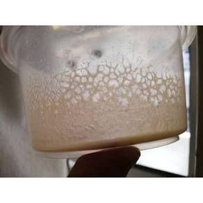 Microworms – Tiny Food, Mighty Growth 