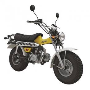 Skyteam T-Rex 125