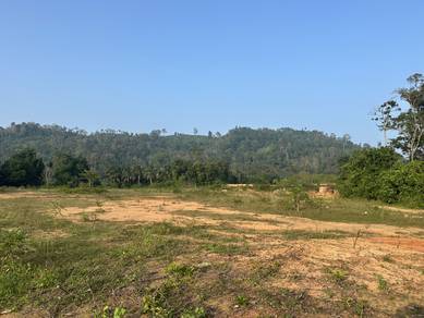 Residential Land in Marang, TRG