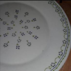 Pinggan pyrex Mayfair platter plate 2