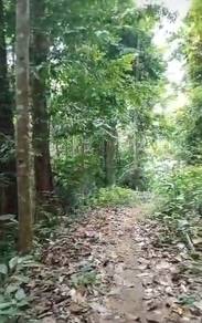 Agricultural Land in Padang Rengas, PRK