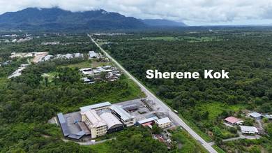 Agricultural Land in Kuching, SWK
