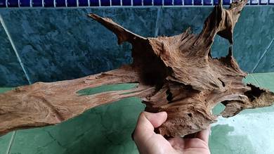 aquascape driftwood