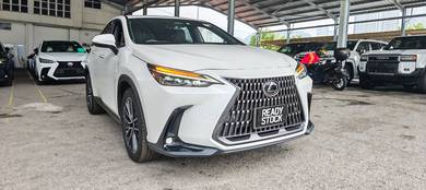 Lexus NX 250 LUXURY in Cheras, KUL