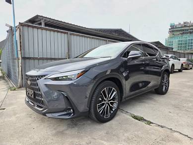 Lexus NX 250 LUXURY in Sungai Besi, KUL