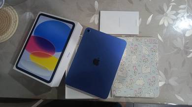 Apple Ipad A16 WIFI 256GB (Blue) 