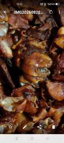 Asam Jawa