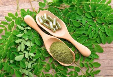 herba moringa kapsul