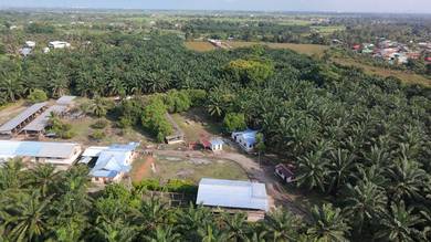 Agricultural Land in Sungai Dua, PNG
