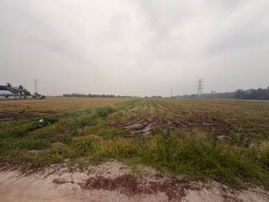 Agricultural Land in Tanjong Karang, SGR