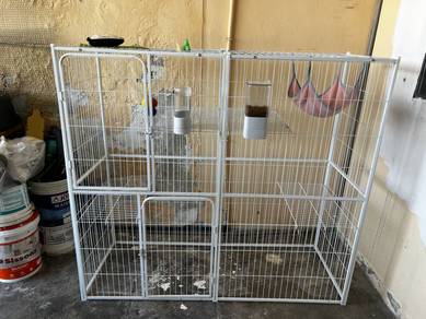 sangkar kucing