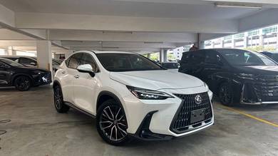 2023 Lexus NX 250 LUXURY