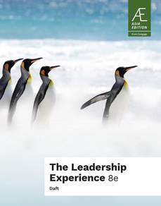 The Leadership Experience (MGT3073)