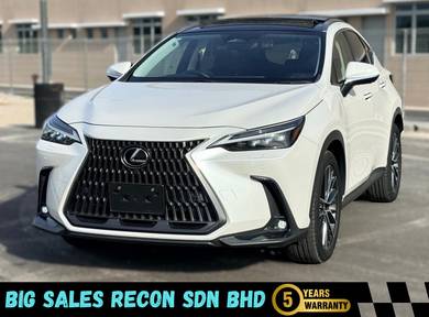 2023 Lexus NX 250 LUXURY