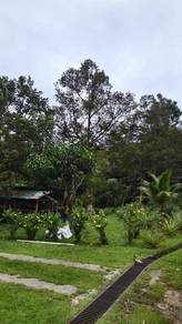 Agricultural Land in Papar, SBH
