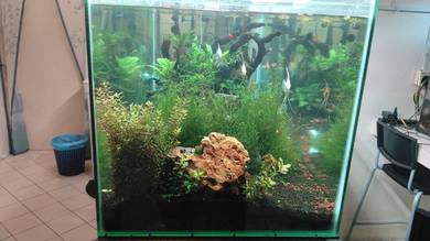 aquascape lengkap 