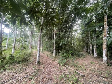 Agricultural Land in Sik, KDH