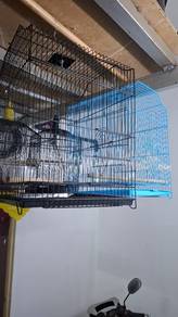 Sangkar burung