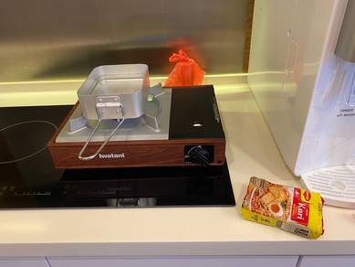 Iwatani gas stove
