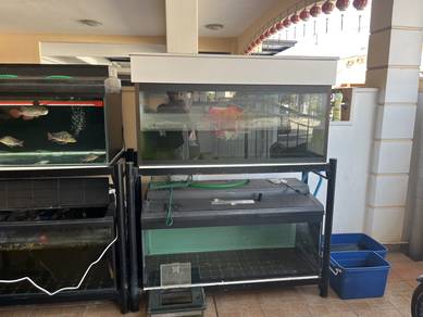 4ft aquarium