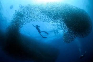 4D3N Cebu Tour Package
