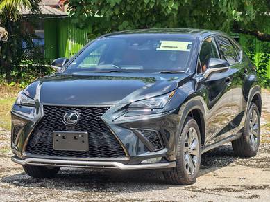 Lexus NX 300 F SPORT in City Centre, KUL