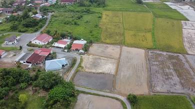 Agricultural Land in Kangar, PLS