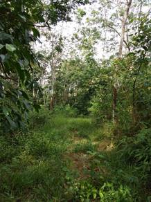 Agricultural Land in Jelebu, NSN