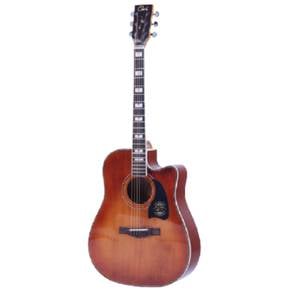 Cate QM-717C Acoustic Guitar - Retro