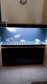 SOBO Complete Set 5ft x 2ft x 2ft Promo