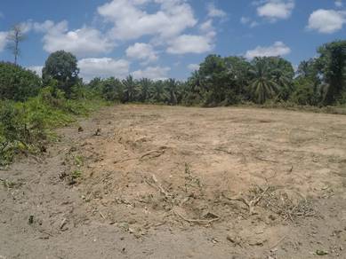 Agricultural Land in Jerantut, PHG