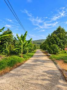 Agricultural Land in Alor Gajah, MLK