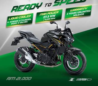 Kawasaki Z 250