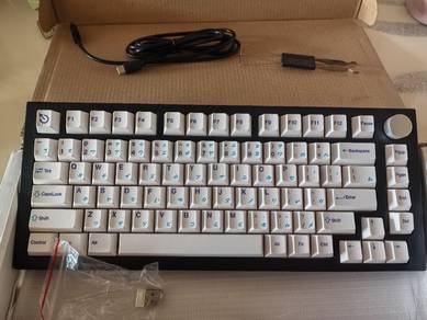 75% Wireless Mechanical Keyboard w/ Volume Knob 