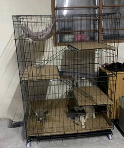 Sangkar Kucing 3 Tingkat DIY