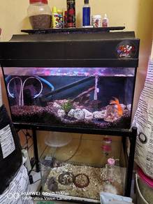 Akuarium set includes fish