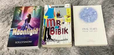 Novel