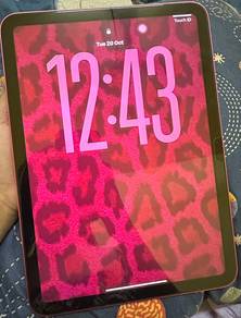 Ipad A16 256GB