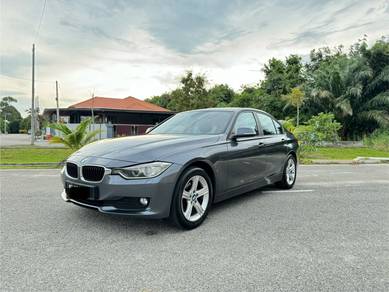 2014 BMW 316i 16i (CKD)
