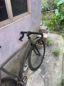 fixie
