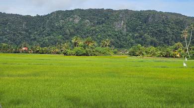 Agricultural Land in Kangar, PLS